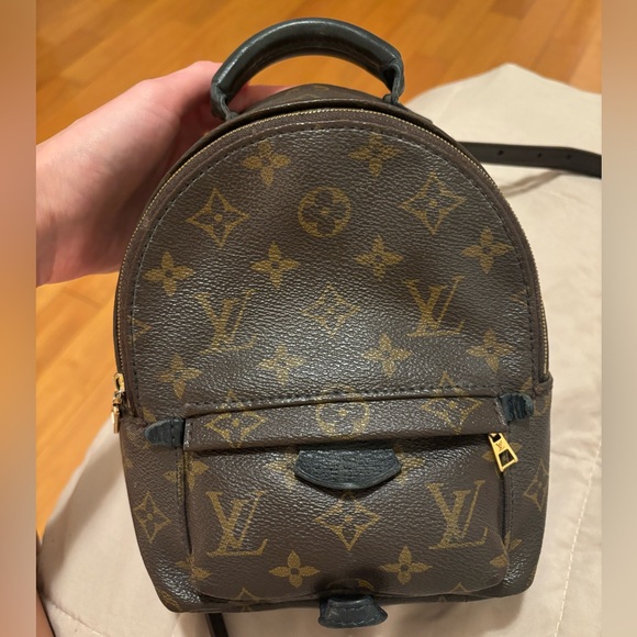 Louis Vuitton Palm Springs Mini - Picture 2 of 4